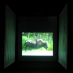 diary of a nomad documentation 1 - video installation by contemporary Native Canadian artist Jude Norris