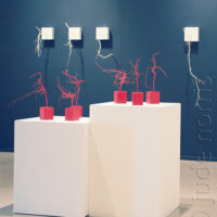 small red roots & northern root quartet - mutlimedia wall sculpture by contemporary Native Canadian artist Jude Norris