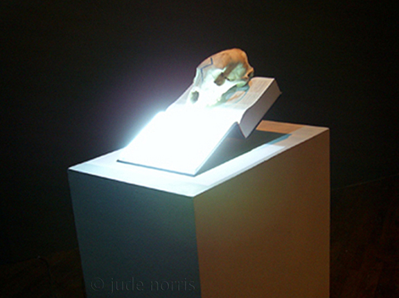 the definition of bear