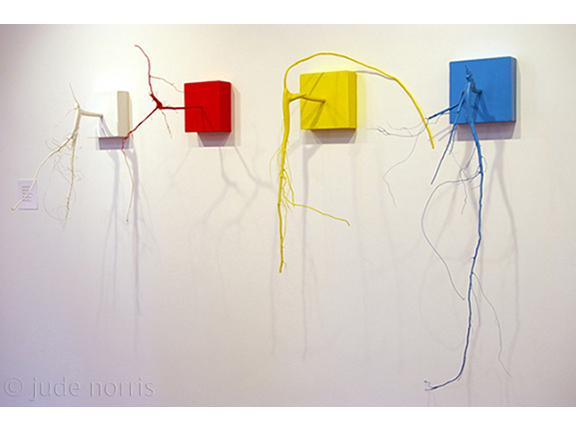 medicine wheel roots